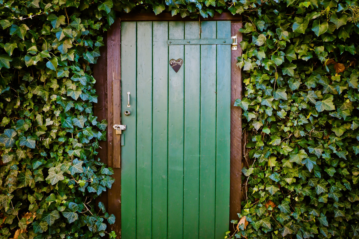 25 Gorgeous Green Door Homes That Will Transform Your Curb Appeal! 6 Bathrooms With Black