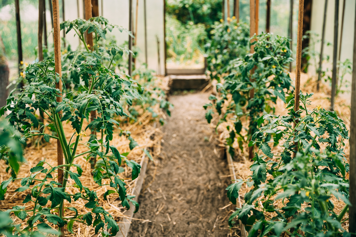 Discover 22 Stunning Raised Flower Beds You Can Build This Weekend! 2 Bathrooms With Black